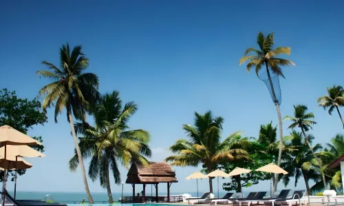 Abad Whispering Palms