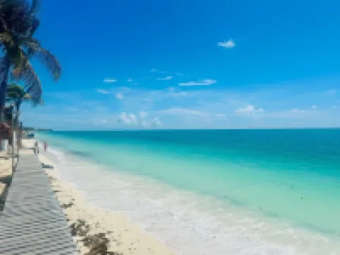 Punta Blanca | Beachfront Boutique Hotel Hotels in Isla Mujeres