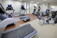 Embassy Suites by Hilton Detroit Troy Auburn Hills - Gym