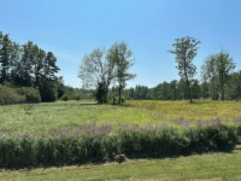 Five miles from the beach, newly remodeled home with lots of privacy.