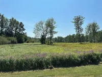 Five miles from the beach, newly remodeled home with lots of privacy.