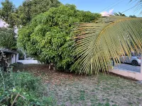 La Maison de Jeanne et Marthe! Localisation Idéale à Case-pilote のホテル