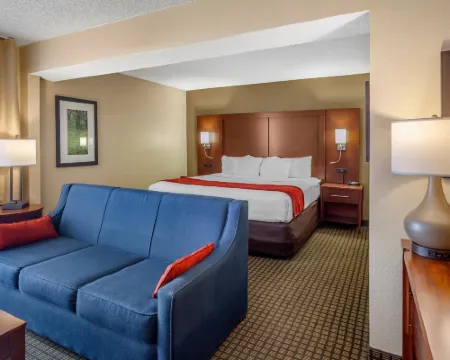 Comfort Inn & Suites Rochelle - DeKalb Hotels in Ogle County