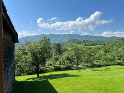 The Centre Hotels in 