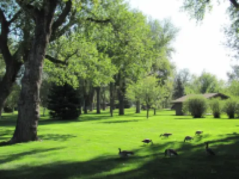 Clean home, walking distance to many businesses—close to downtown!