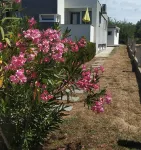 Apartments Dora 2Studio50m from the sea!