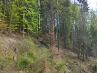 Villa with Sauna in Liesen - Homestays