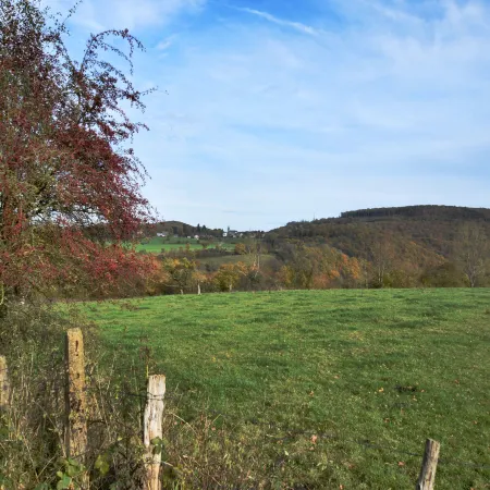 Durbuy Hillside Family Villa