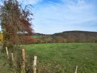 Durbuy Hillside Family Villa - bar