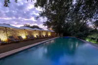 Karongwe - Becks Safari Lodge - Infinity Pools