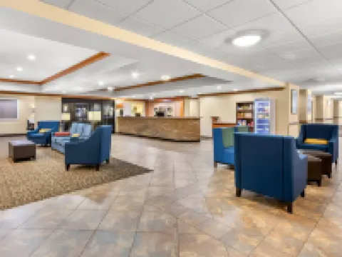 撒切爾舒適套房酒店 撒切酒店