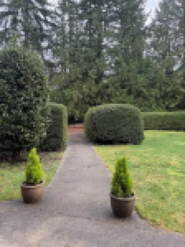 Country Spa Getaway Near Powell River.