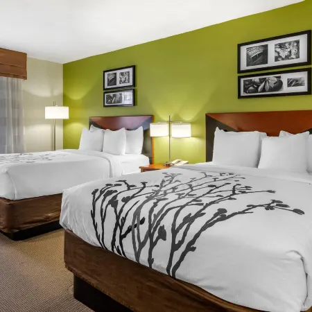 Sleep Inn & Suites Stockbridge Atlanta South