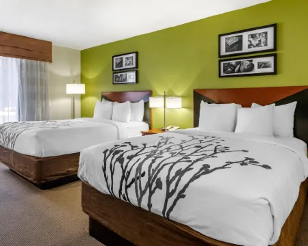 Sleep Inn & Suites Stockbridge Atlanta South Hotels in Stockbridge
