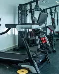 Goldvika - palestra