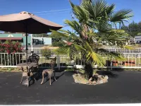 Western Village Inn-Newly Renovated Hotels in Willits