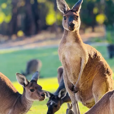 Amaroo Retreat & Spa
