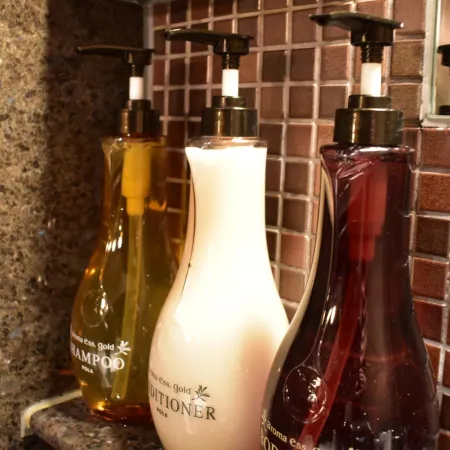 HOTEL DORMY INN KOBE MOTOMACHI HOT SPRINGS
