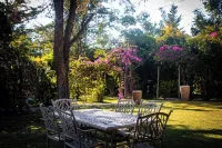 Sunbirds Chobe Hotel - bar