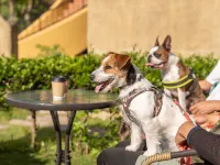 Bettei Ishinoie - Pet friendly