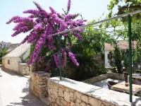 Apartments Paloc - Standard One-bedroom Apartment with Balcony (Žuti) - 3-Star