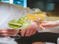 Imola Hotel Platan - Baarit