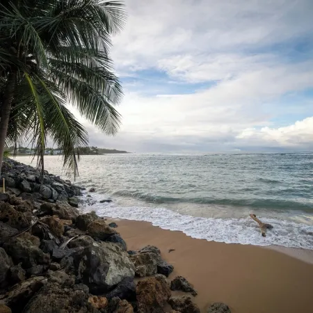 Villa Paraiso Luxurious Beach Front 5BR/6BA Villa @ Dorado Beach Ritz Reserve