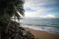 Villa Paraiso Luxurious Beach Front 5BR/6BA Villa @ Dorado Beach Ritz Reserve - Beach
