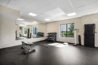 Holiday Inn Express & Suites BUFFALO-AIRPORT by IHG - Gym