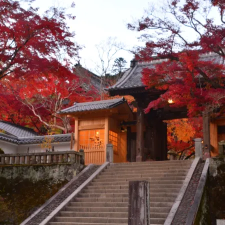 Yururi Nishiizu