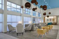 Element Branson - Kitchens