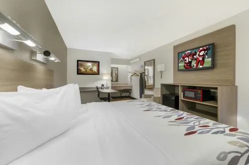 Red Roof Inn Buffalo - Niagara Airport - Motels