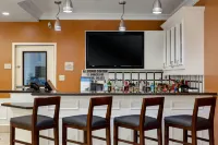 Hilton Garden Inn Mobile West I-65/Airport Blvd. - bar