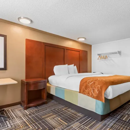 Rodeway Inn Sharonville