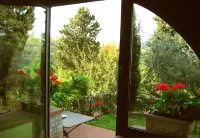 Old Tuscany's Hills - Beautiful House Close to Florence