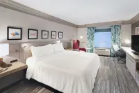 Hilton Garden Inn Chicago North Shore/Evanston Hotels in Skokie