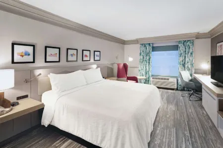 Hilton Garden Inn Chicago North Shore/Evanston