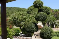Les Jardins de Santa Giulia - Charmante Chambre d'hôte 2 Các khách sạn ở 