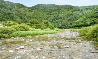 Gangneung W Pension - Housity