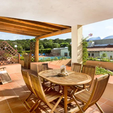 Bougainvillae Trilo Plus
