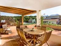 Bougainvillae Trilo Plus