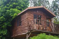 The Blue Mahoe Treehouse Hotels near St. Ann's Bay Library