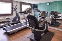 Holiday Inn Express & Suites ELGIN by IHG - Gym