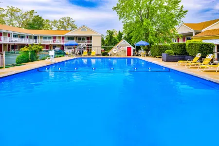 Rodeway Inn Orleans - Cape Cod Отели рядом с достопримечательностью «Addison Art Gallery»