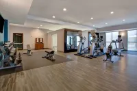 Hampton Inn & Suites Borger