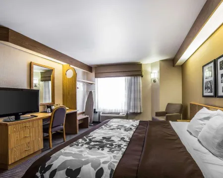 Quality Inn Moab Slickrock Area