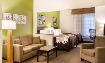 Sleep Inn & Suites Metairie - Housity