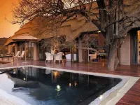 Madikwe Hills - Pools