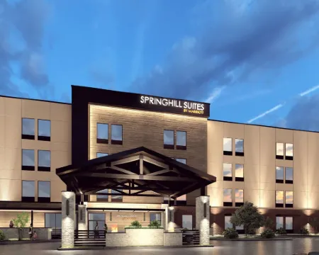 スプリングヒル スイーツ by マリオット リンダーレ タイラー リンデールのホテル