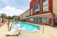 Holiday Inn Express & Suites LAFAYETTE-SOUTH by IHG - Pools